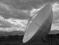 Wichtige Informationen als Download